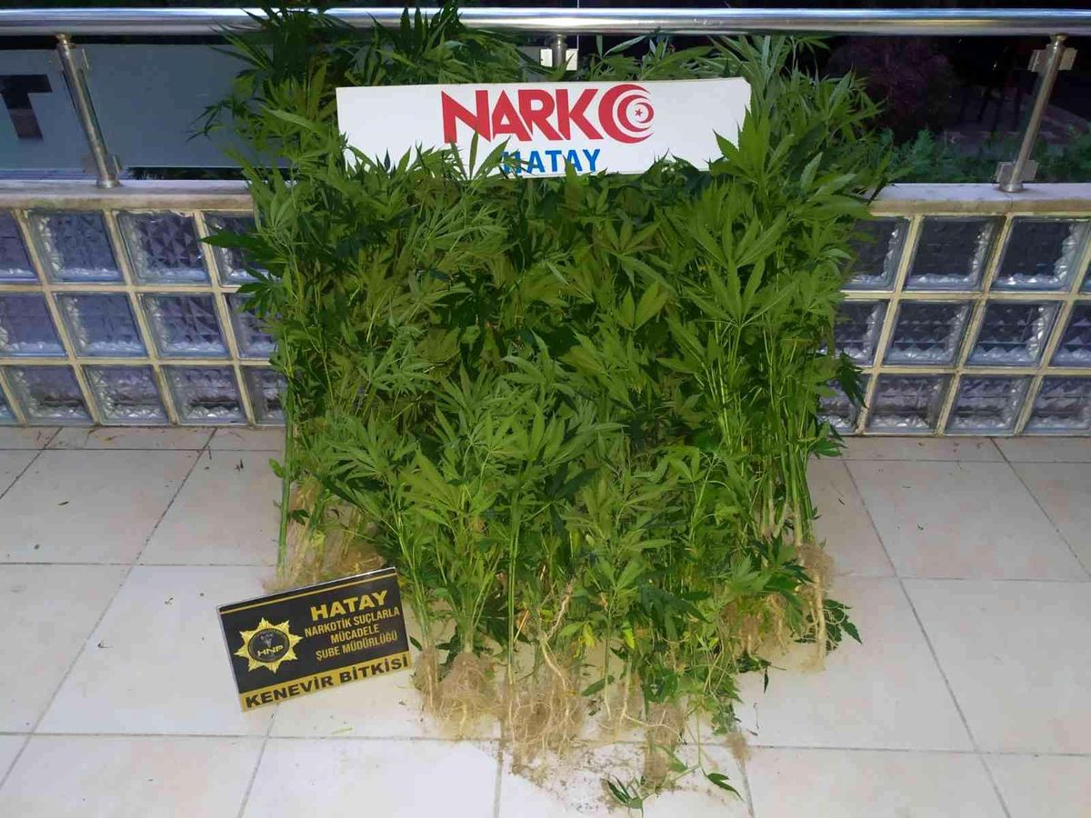 Hatay\'da uyuşturucu operasyonu