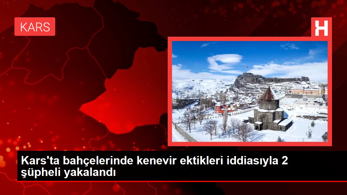 Kars'ta bahçelerinde kenevir ektikleri iddiasıyla 2 şüpheli yakalandı