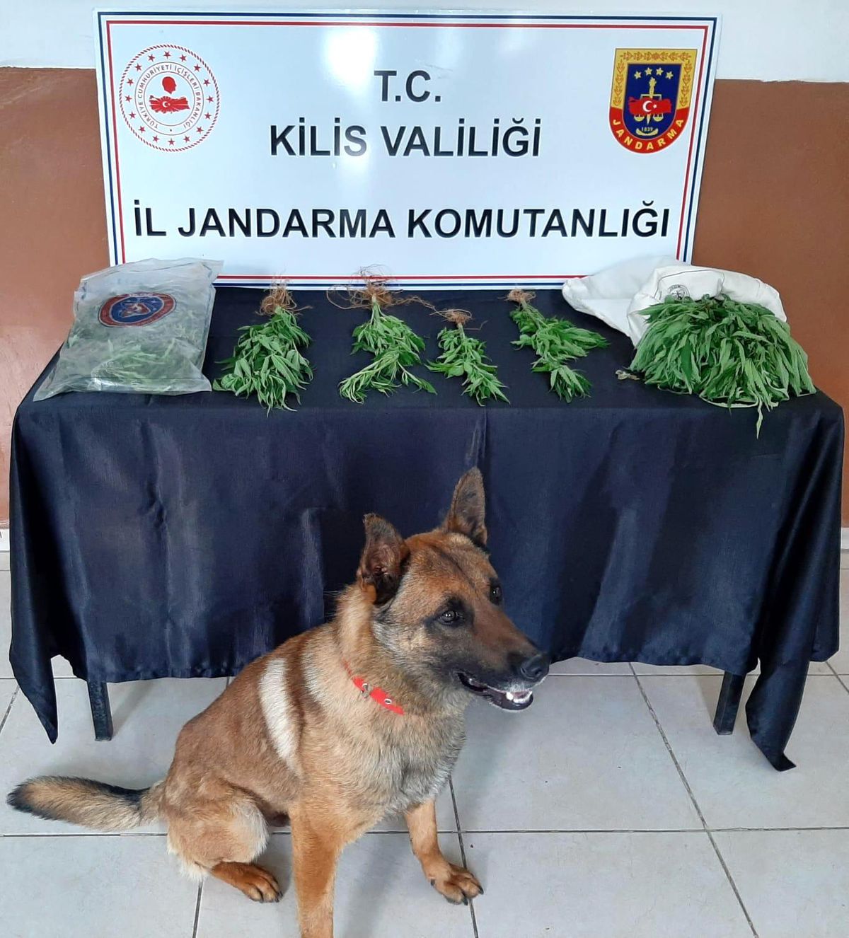 Kilis\'te uyuşturucu operasyonu