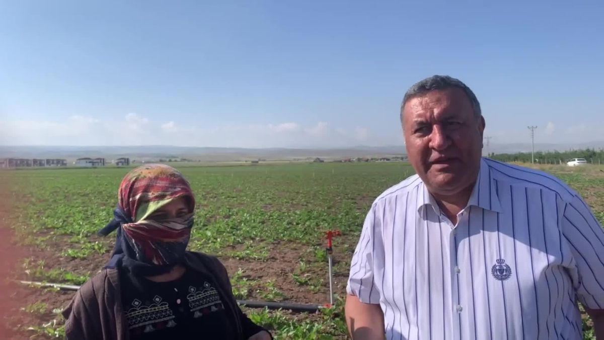 Niğdeli Tarım İşçisi Kadın: Şeker Üretiminde Emek Veren Benim, Bu Şekeri 25 Liraya Almak İstemiyorum