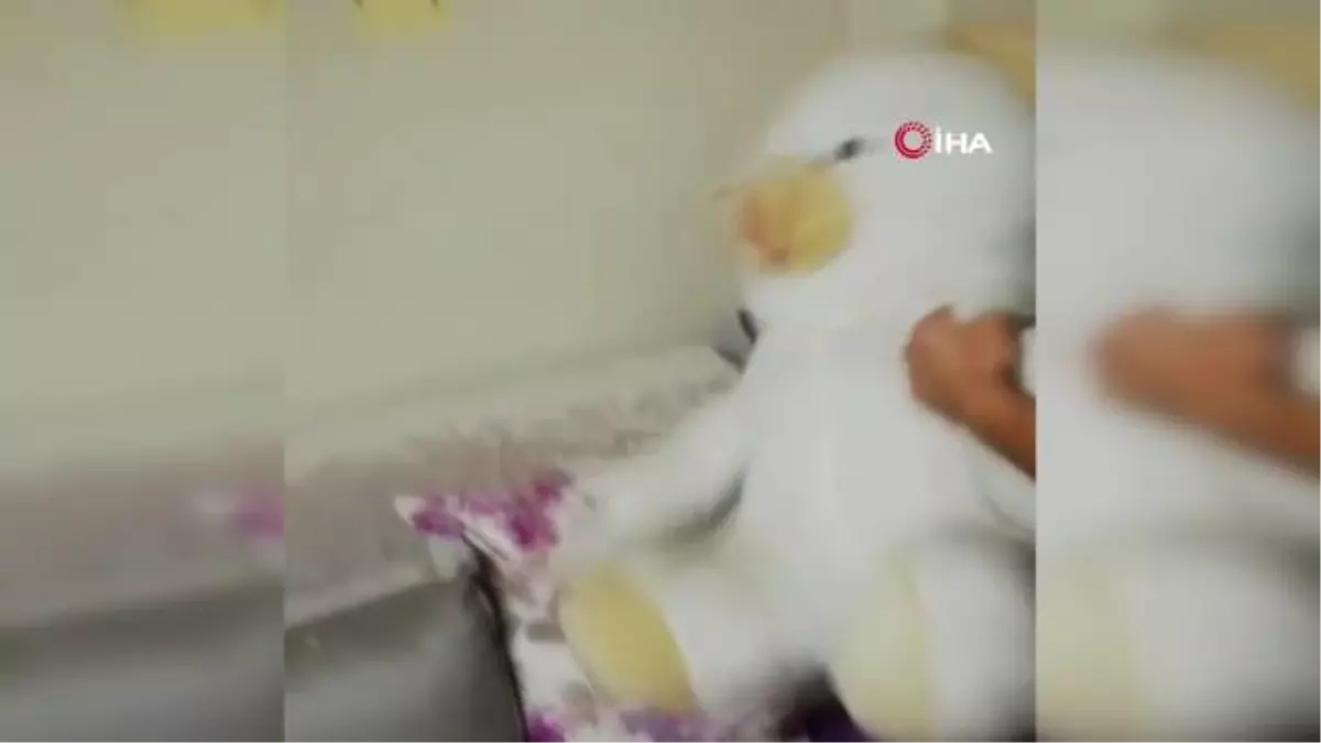 Şüphelenilen oyuncak ayının içinden silah çıktı