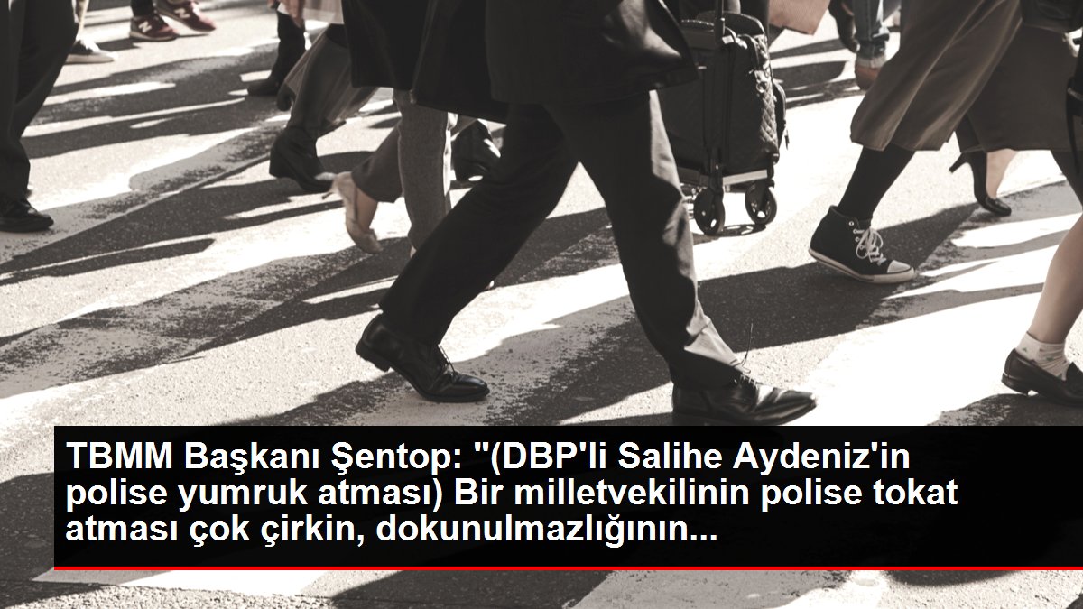 TBMM Başkanı Şentop: '(DBP'li Salihe Aydeniz'in polise yumruk atması) Bir milletvekilinin polise tokat atması çok çirkin, dokunulmazlığının...