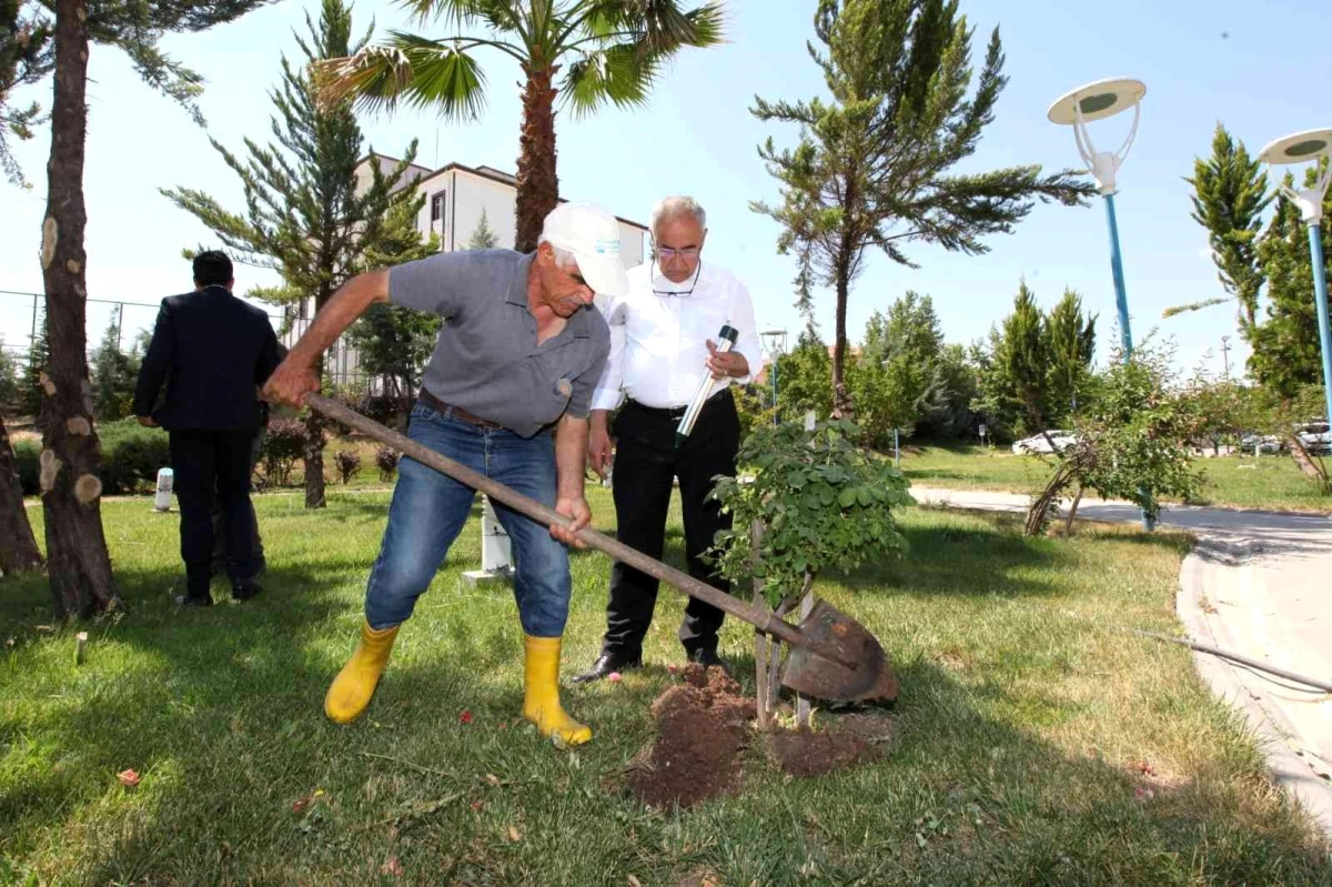 Üniversite kampüs alanına sürüngen savar yerleştirildi