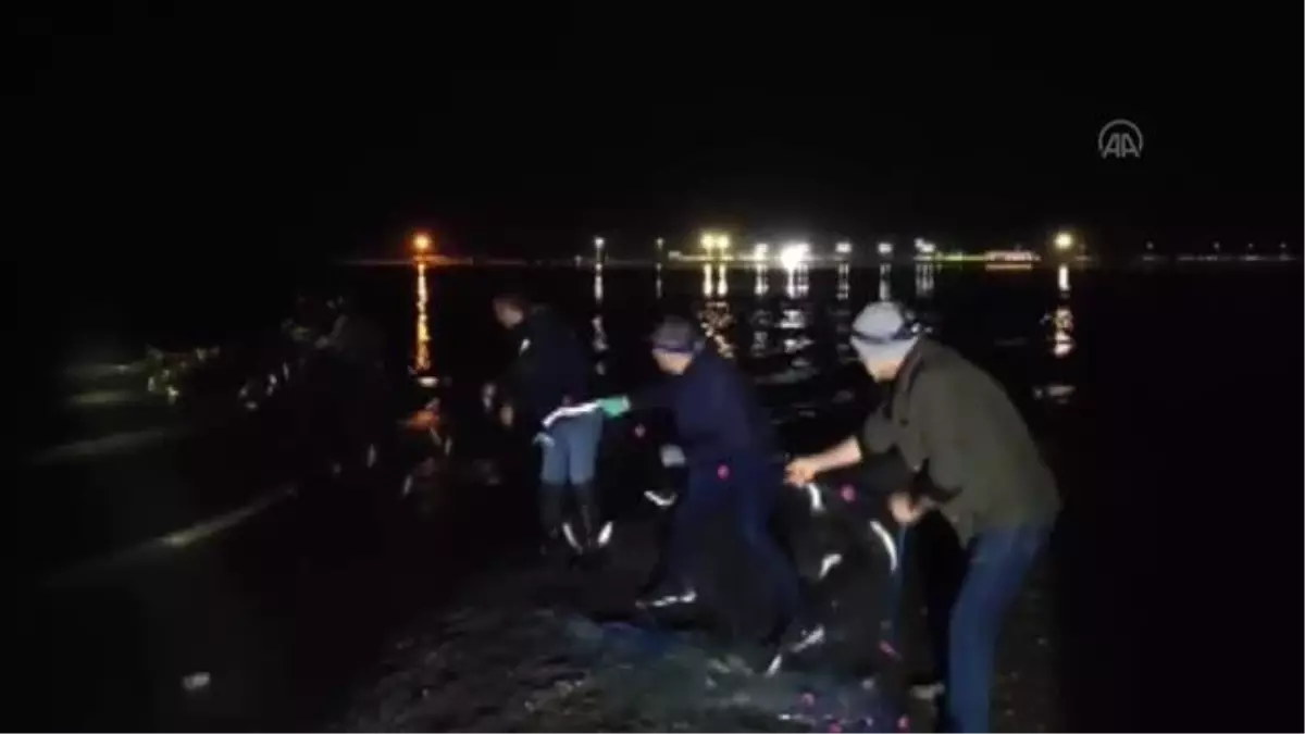 620 kilogram kaçak avlanılan inci kefali ele geçirildi