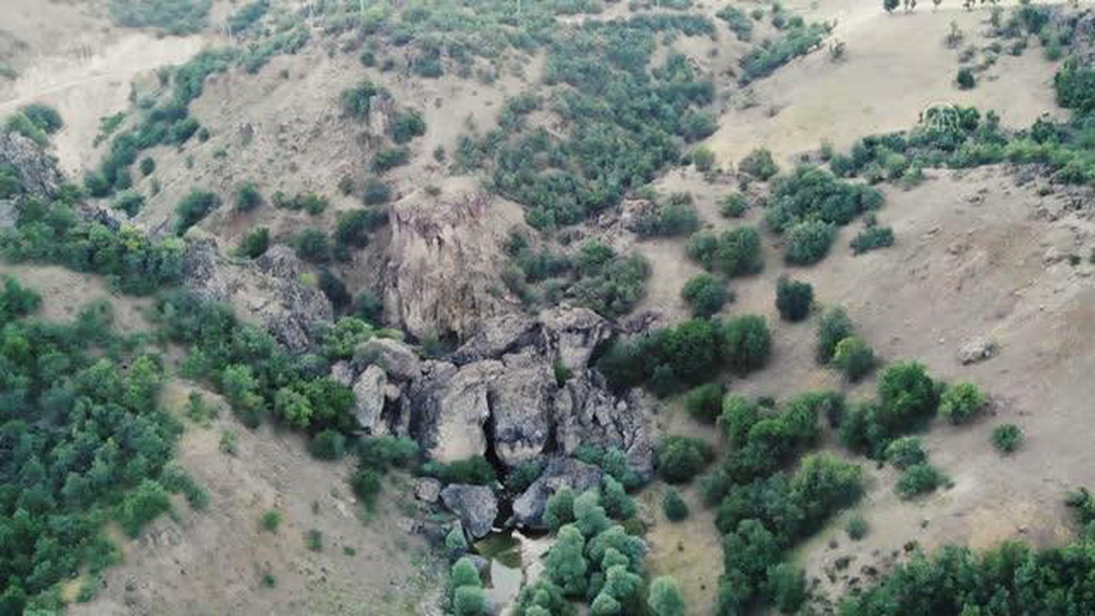 Bağın Vadisi\'ndeki yaban keçilerinin sayısı yeni yavrularla artıyor