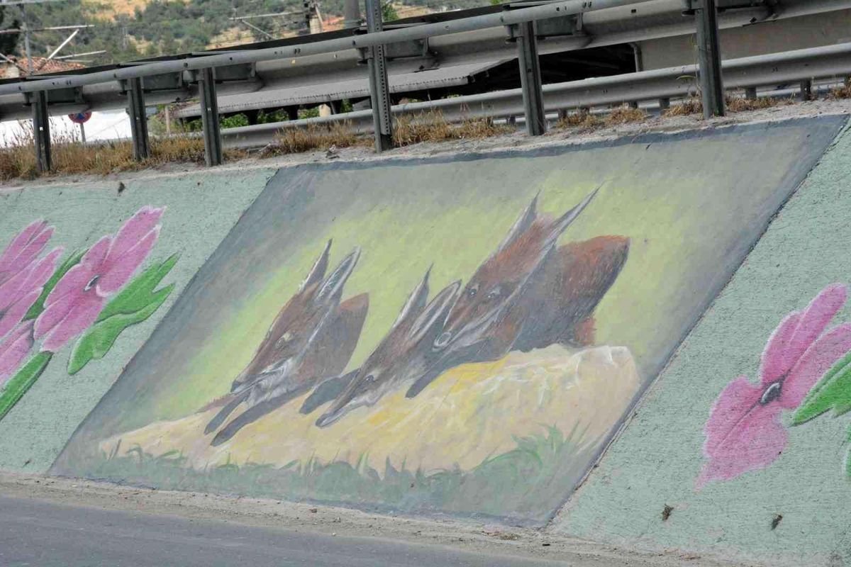 Başkan Yaman\'ın tilki sevgisi