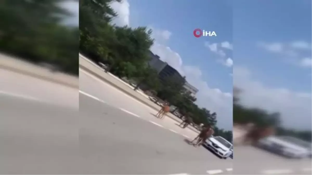 Bursa'da başıboş atlar trafiği tehlikeye soktu