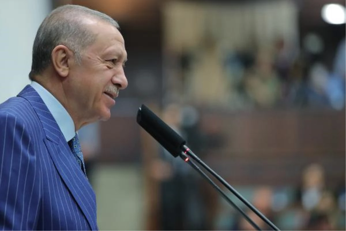 Cumhurbaşkanı Erdoğan\'dan TÜSİAD\'a tepki: Dış politikada bize ders veremezsin (2)