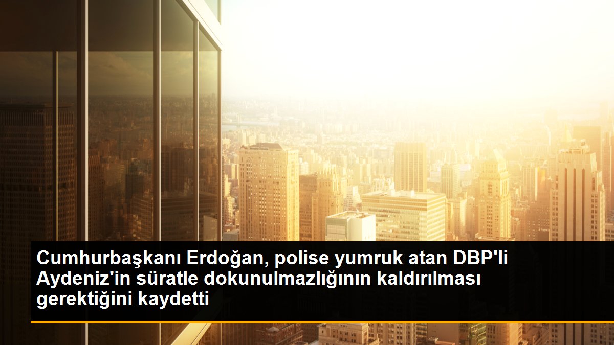 Cumhurbaşkanı Erdoğan, polise yumruk atan DBP\'li Aydeniz\'in süratle dokunulmazlığının kaldırılması gerektiğini kaydetti