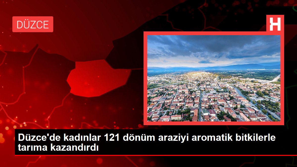 Düzce'de kadınlar 121 dönüm araziyi aromatik bitkilerle tarıma kazandırdı