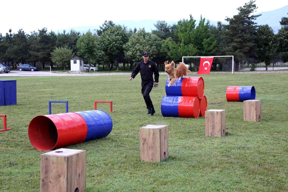 Jandarmanın eğitimli köpeklerinin gösterisi alkış topladı