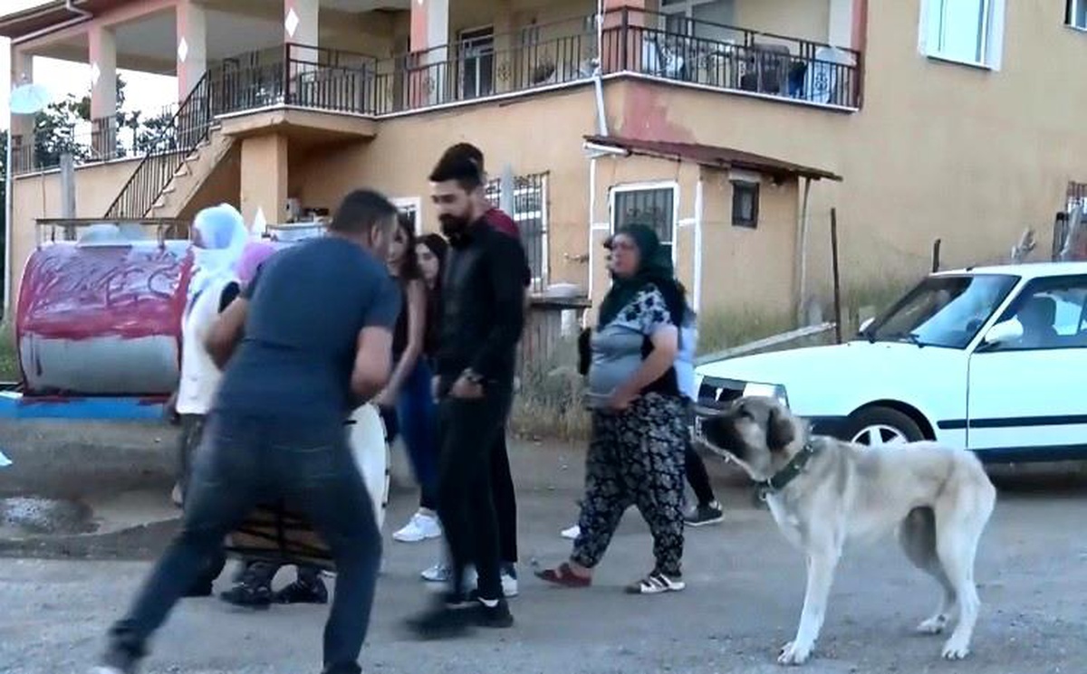 Kendinden geçmiş halde davul çalıyordu, köpeğin havlaması ile neye uğradığını şaşırdı