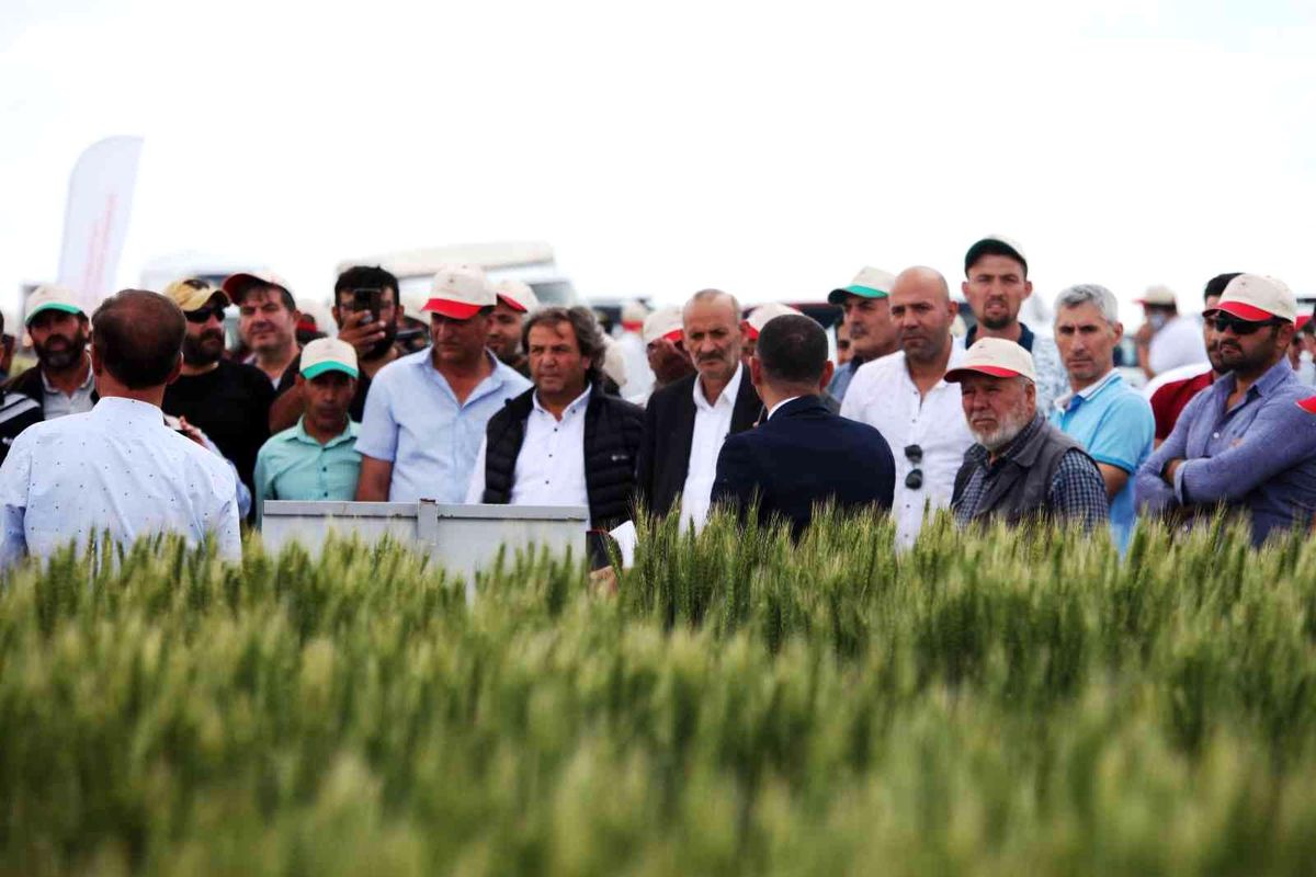 Konya'da Tarla Günü'nde yeni hububat çeşitleri tanıtıldı