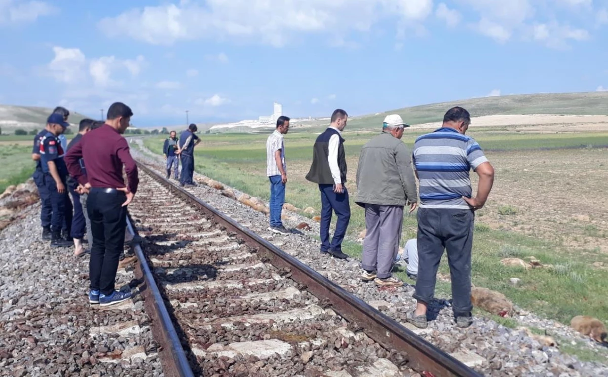 Konya\'da trenin çarptığı 140 küçükbaş hayvan telef oldu