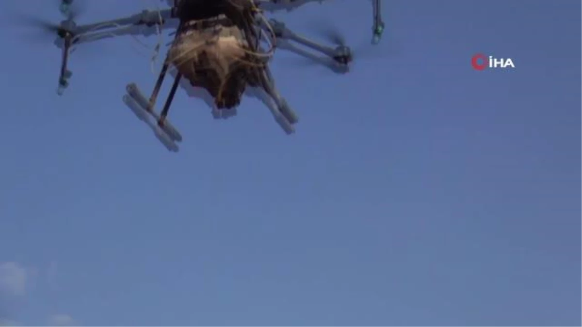 Mardin Ovası\'nda 20 bin dönüm arazi drone ile ilaçlandı: 2 milyon 800 bin liralık tasarruf