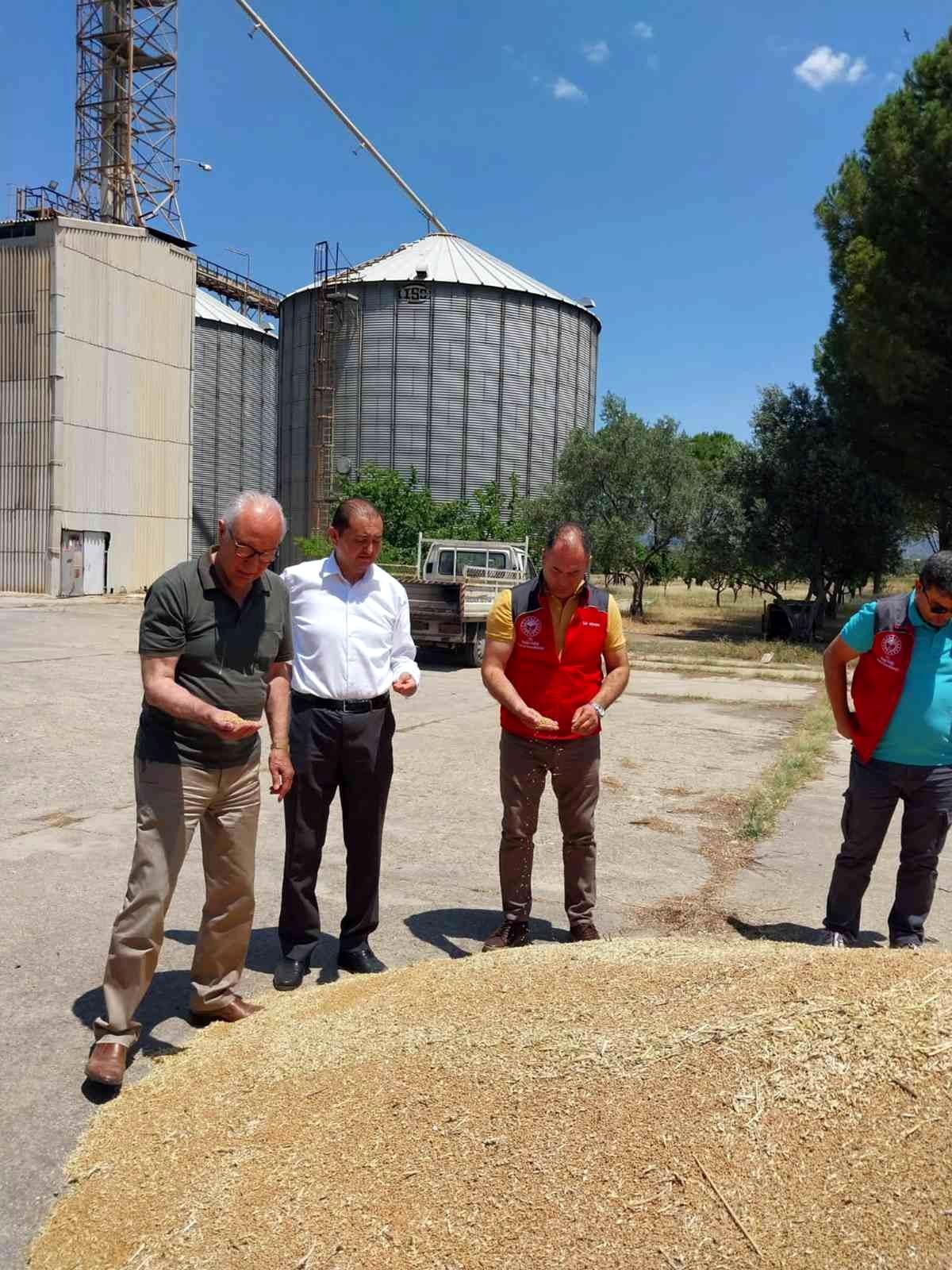 Milas\'ta TMO hububat alımına başladı