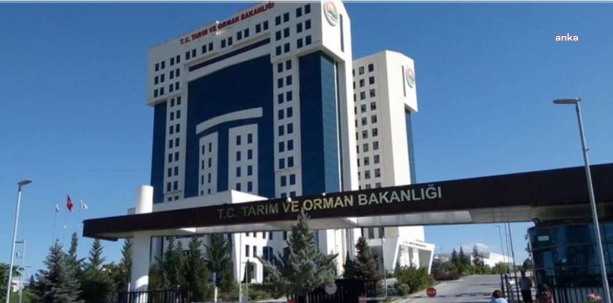 Tarım Bakanlığı\'ndan \'Venezuela\'da Tarım\' Açıklaması: "Çok Sayıda Tarım Ürününde Dünya Liderliğimiz Devam Etmektedir"