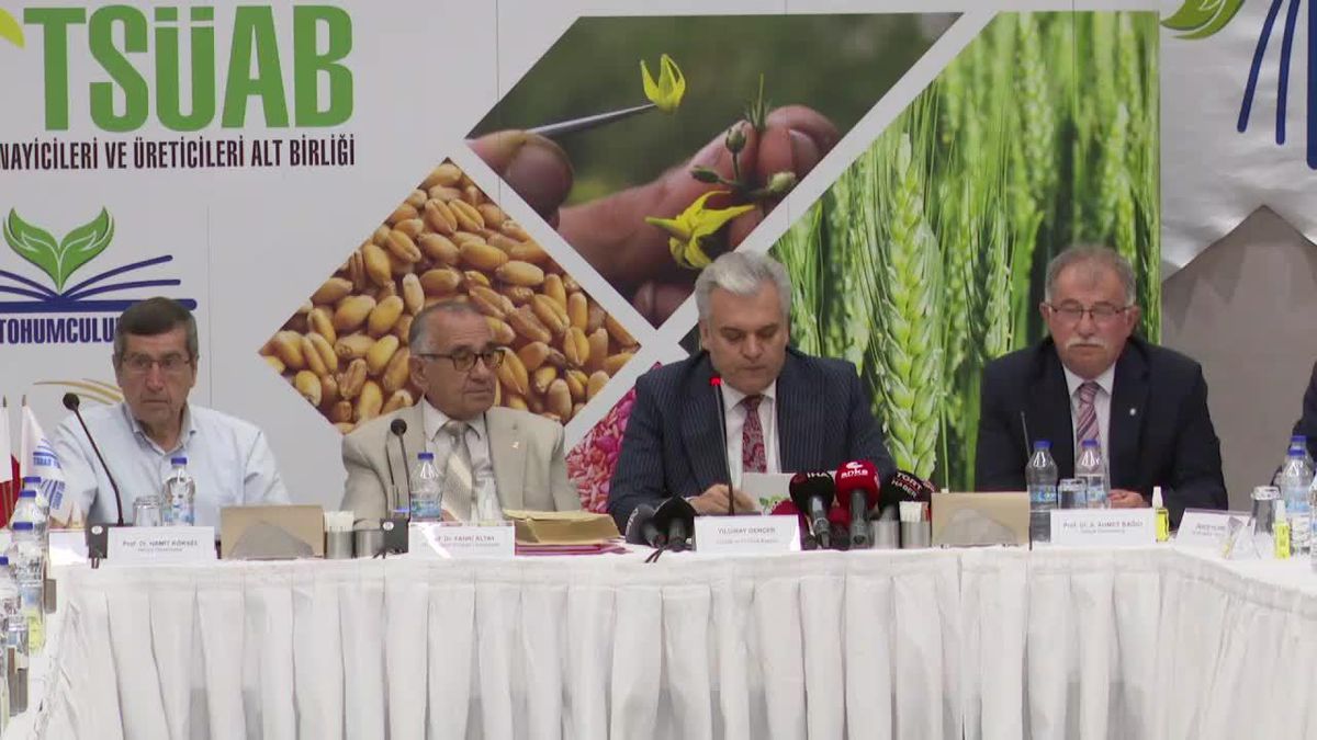 Tohum Sanayicileri ve Üreticileri Birlik Başkanı Gençer: 'İnternette Buğdayın Bir Tanesini 20 Liraya Satışa Çıkardılar'