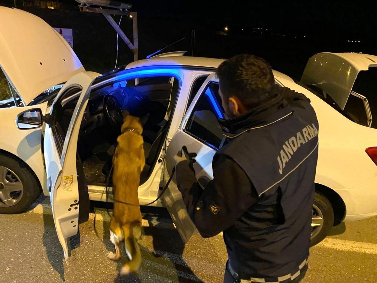 Uyuşturucu operasyonu; 2 gözaltı