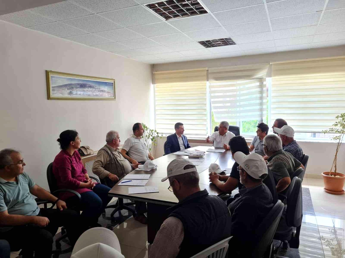 Üzümler organik yetişecek