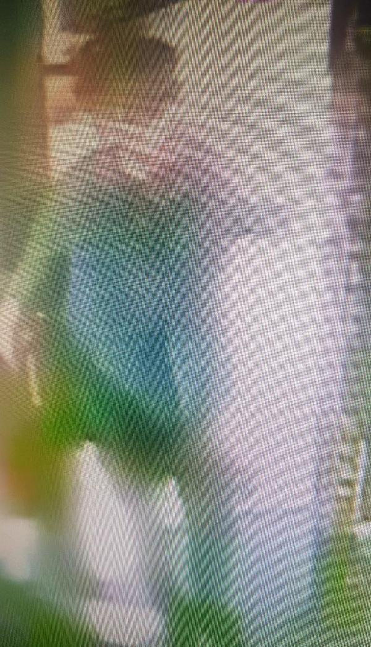 Yardım etme bahanesiyle görme engelli genç kızın cep telefonunu çaldı