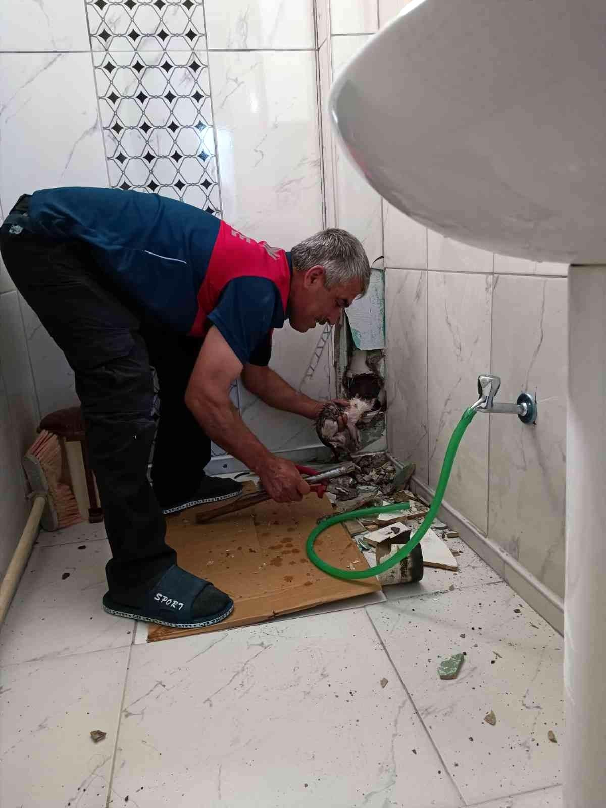 Yavru kedi borudan çıkartıldı