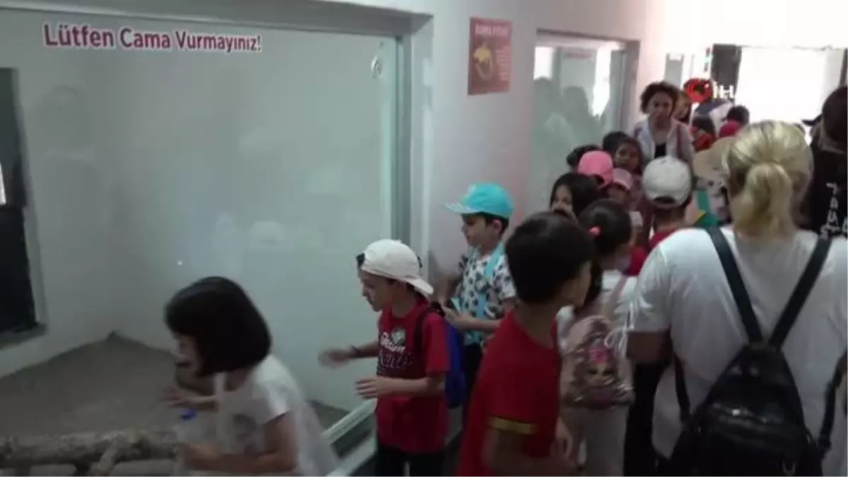 Yenilenen hayvanat bahçesinin ilk konukları ise karne sevinci yaşayan minik öğrenciler oldu