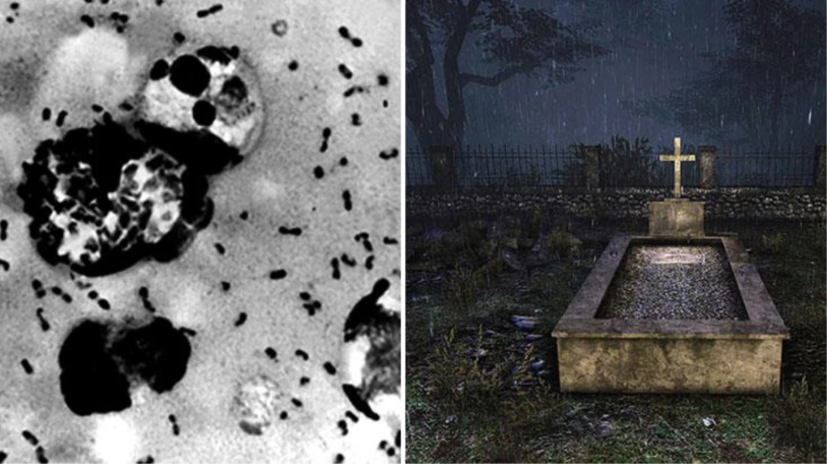 700 yıllık mezarı kazan bilim insanları, 200 milyona yakın insanın ölümüne sebep olan kara vebanın kaynağını buldu