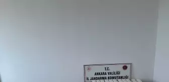 Ankara'da jandarma ekipleri bir haftada aranan 193 şüpheliyi yakaladı