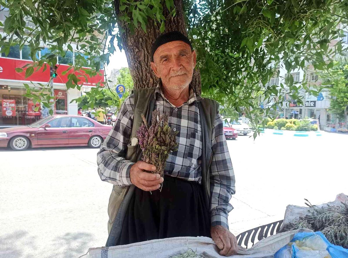 Dağlardan topladığı şifalı otlar geçim kaynağı oldu