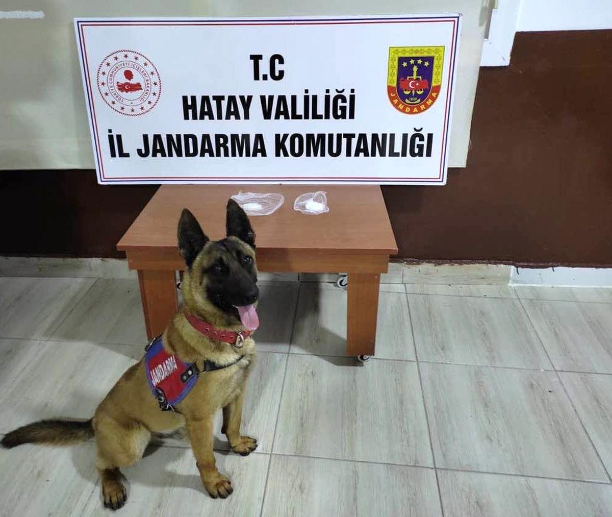 Hatay\'da uyuşturucu operasyonu: 5 gözaltı
