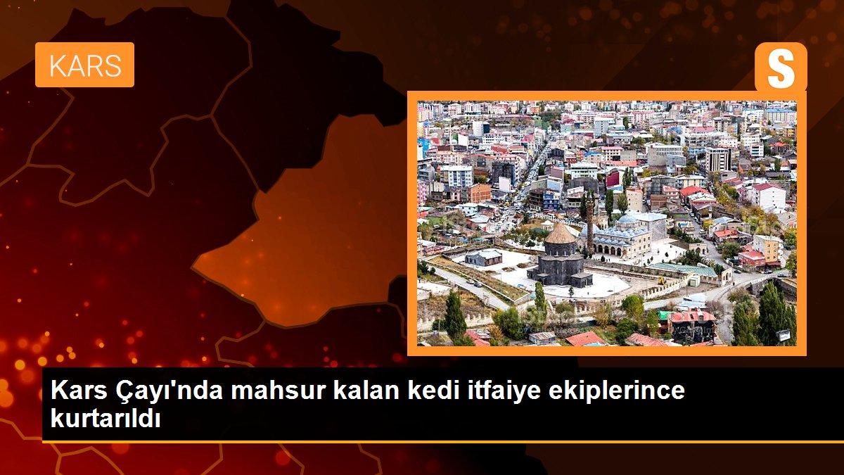 Kars Çayı\'nda mahsur kalan kedi itfaiye ekiplerince kurtarıldı