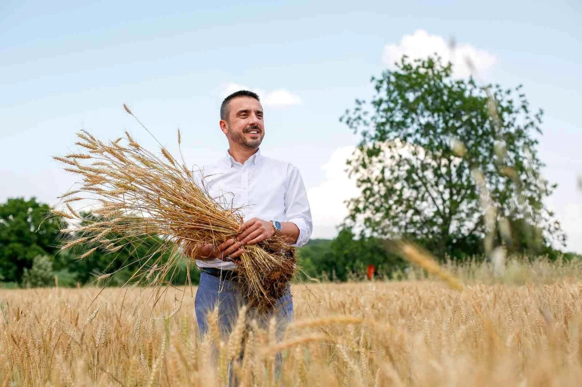 Kestel Belediyesi Türkiye\'nin en ucuz ekmeğine zam yapmamak için kendi buğdayını ekiyor: 1 TL\'lik 400 gram ekmeğe 2 yıl daha zam yok