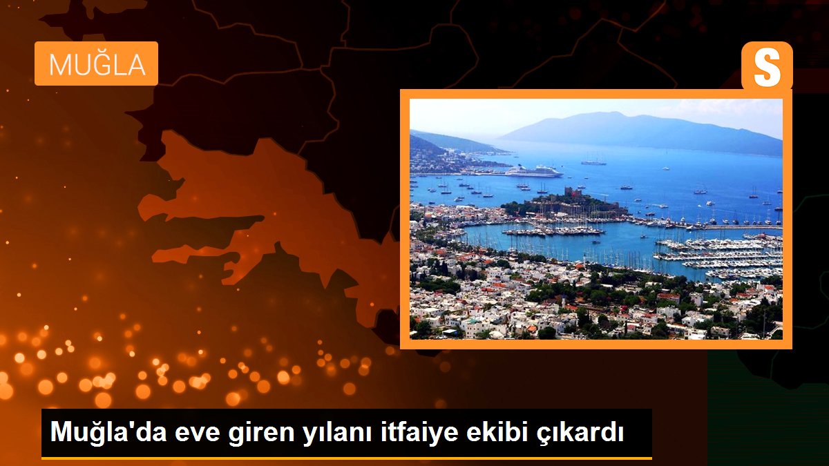 Muğla\'da eve giren yılanı itfaiye ekibi çıkardı