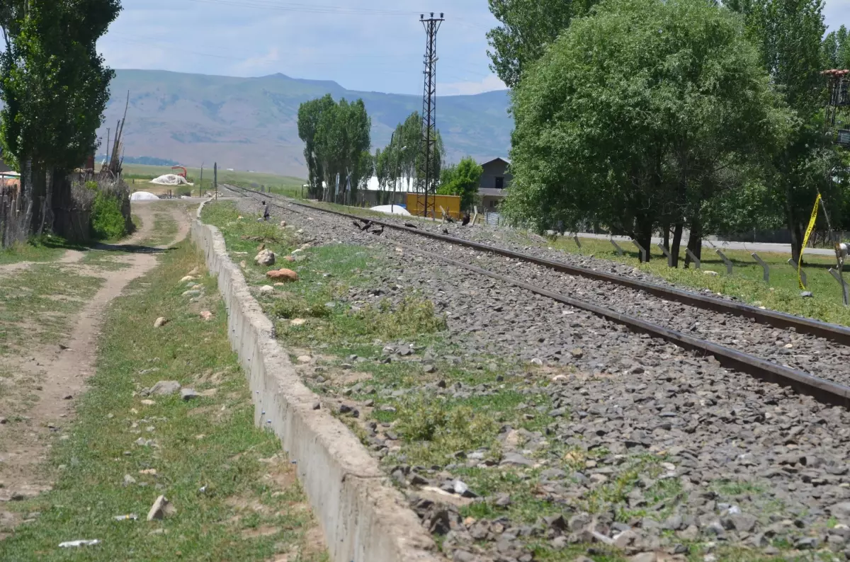 Muş\'ta koyunlarını kurtarmaya çalıştığı sırada trenin çarptığı besici öldü