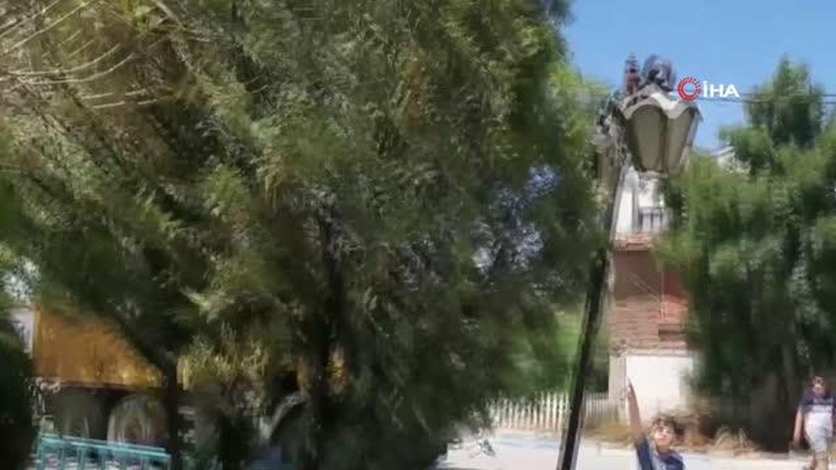 Parktaki yılanı elleriyle yakalayıp çocuklara sevdirdi