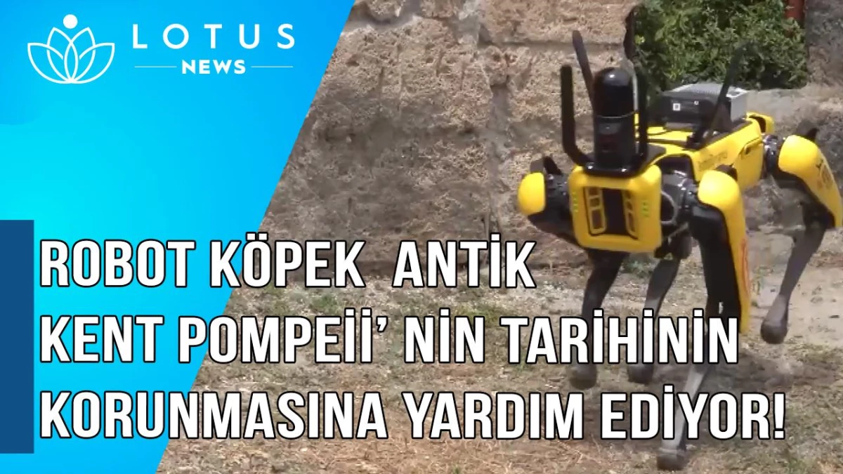 Video: Yüksek Teknolojili Robot Köpek, Antik Kent Pompeii\'nin Mirasını Korumaya Yardımcı Oluyor