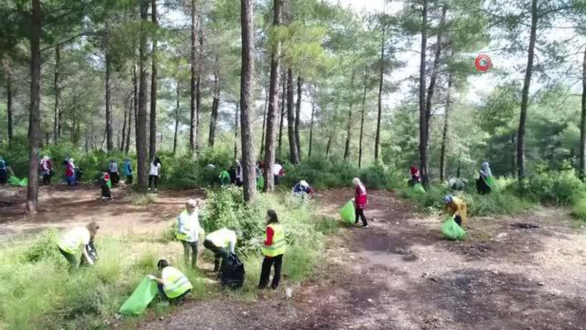 Yangınlara sebep olan cam şişeler ormanlık alandan toplandı