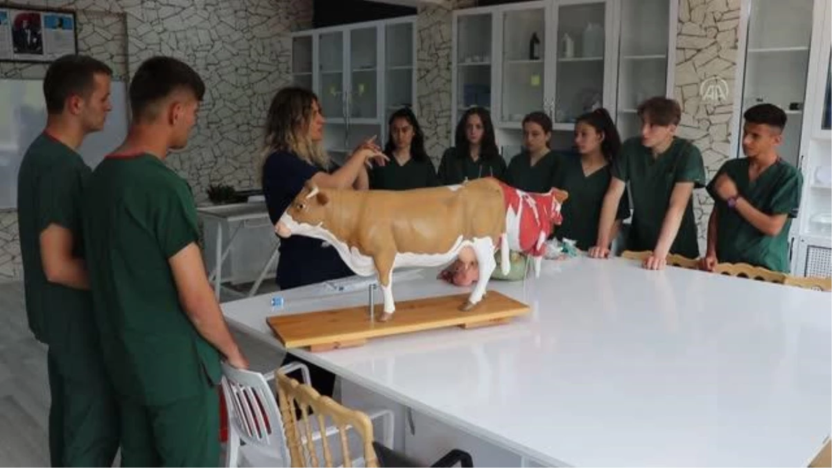 Geleceğin veteriner sağlık teknisyenleri sahada mesleğin inceliklerini öğreniyor