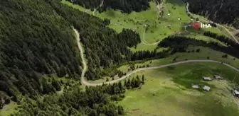 Gümüşhane'de yayla göçü başladı