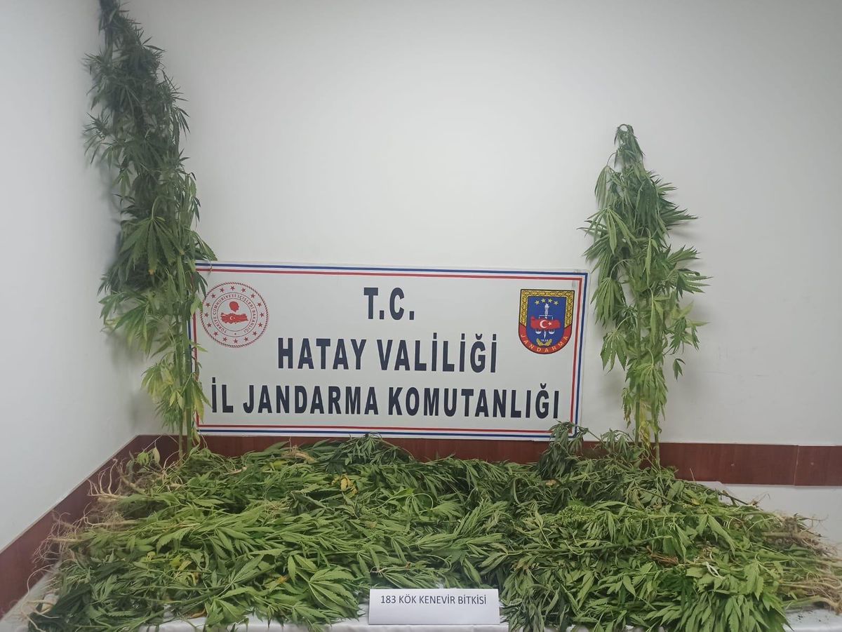Hatay\'da uyuşturucu operasyonunda yakalanan 11 zanlı tutuklandı