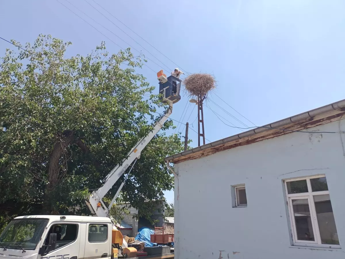 Iğdır\'da ayağına ip dolanan leylek yavrusu kurtarıldı