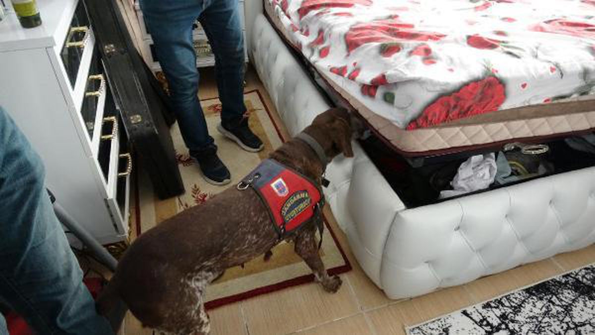 İzmir ve Manisa\'daki "yeşil reçeteli ilaç" operasyonunda 18 kişi tutuklandı