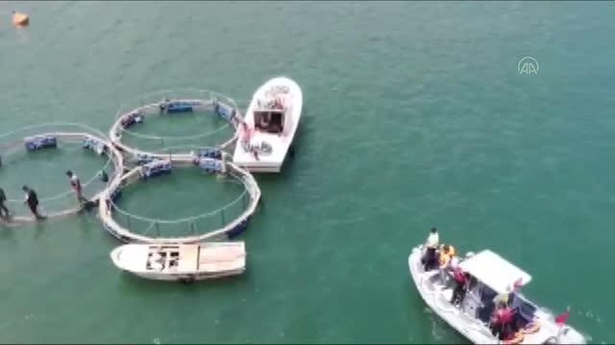 Kaçak balık avlayan 3 kişiye yaklaşık 27 bin lira para cezası verildi