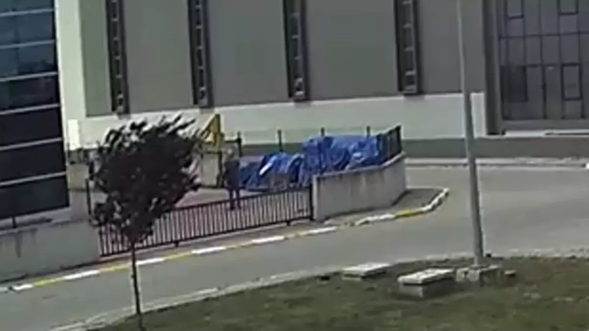 Kocaeli\'de Demir Çubukla Vurarak Köpeği Öldürdüler