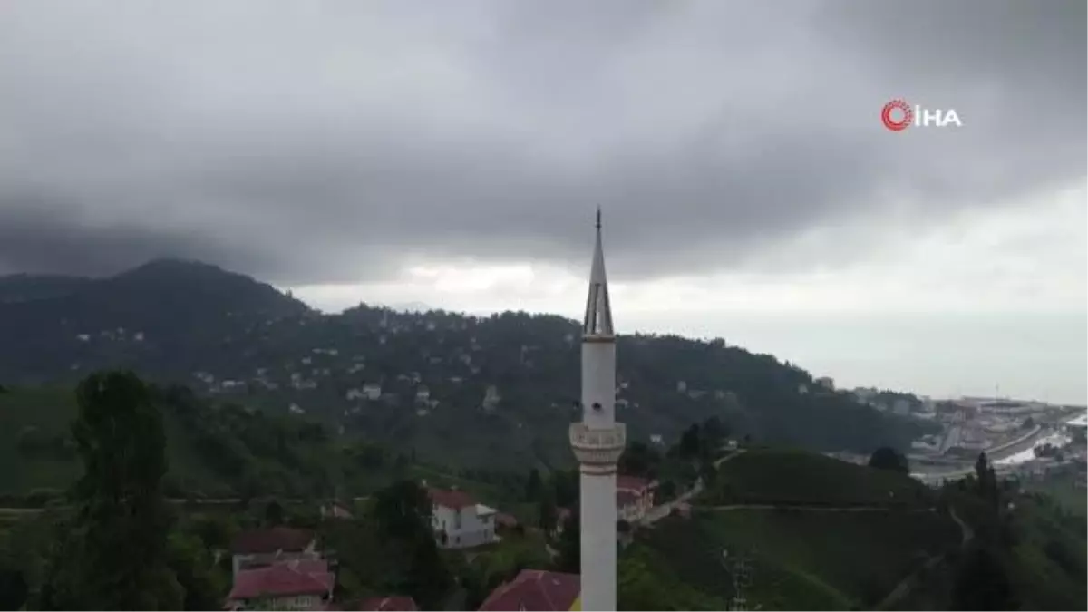 O Ağaçkakan değil \'Minarekakan"