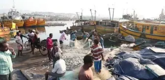 VİSAKHAPATNAM - Hindistan'daki balıkçı limanı günde yaklaşık 15 bin kişiye gıda sağlıyor