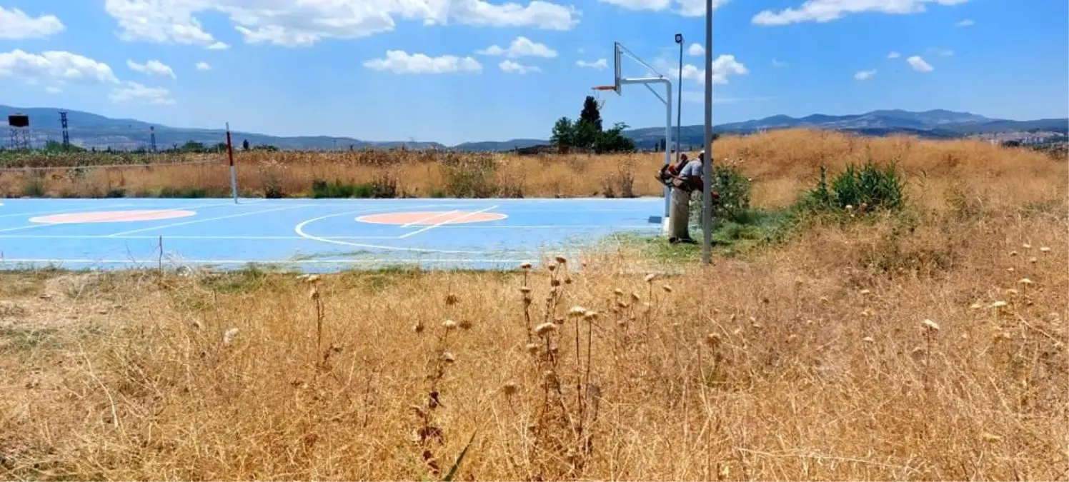 Yangına davetiye çıkaran kurumuş otlar temizleniyor