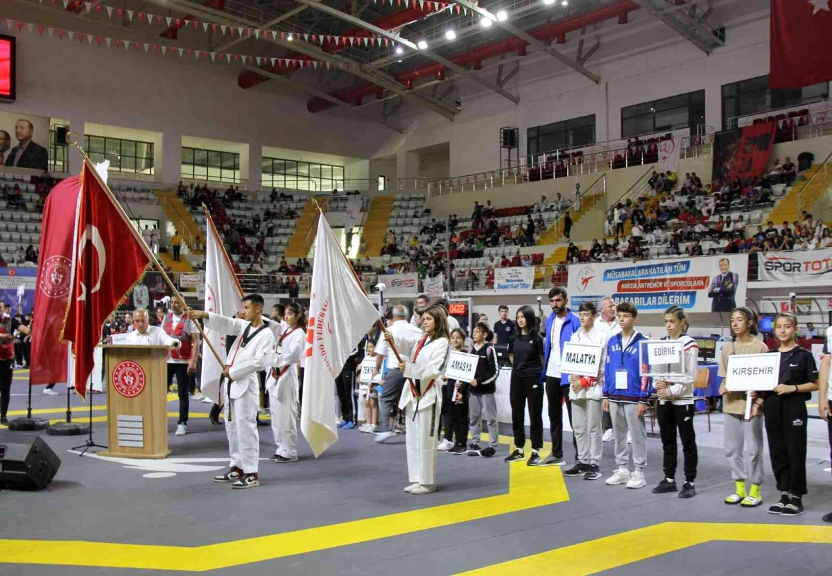 Yıldızlar Türkiye Tekvando Şampiyonası\'nın açılış seremonisi yapıldı