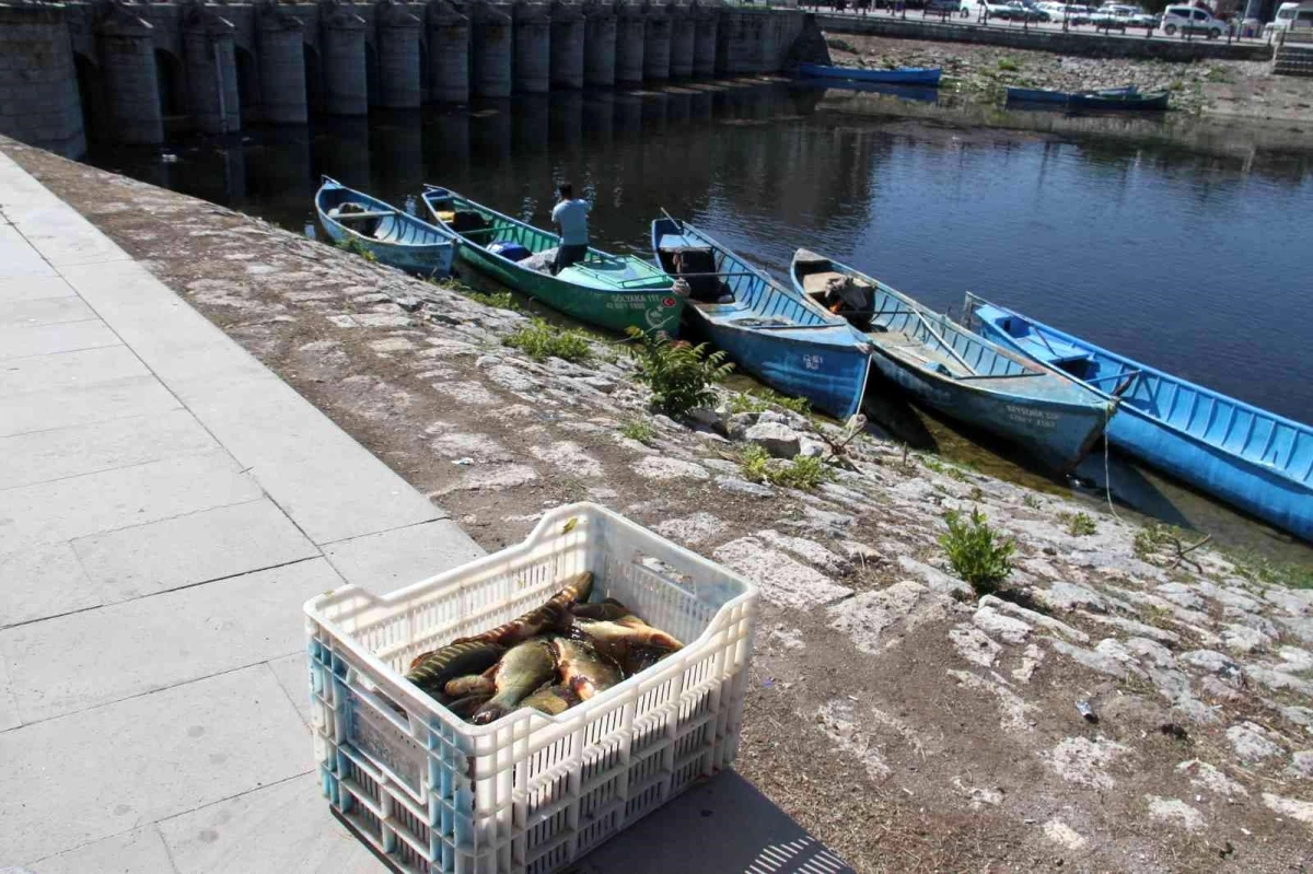 Beyşehir Gölü\'nde su ürünleri av yasağı sona erdi